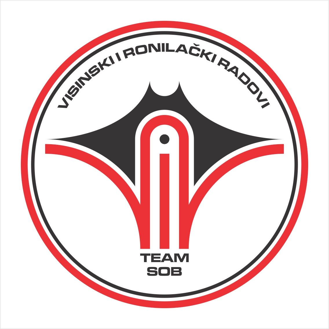 VIR team